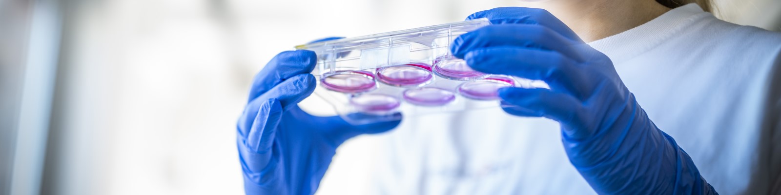 A1010541_ProBioGen_Laboratory_hero
