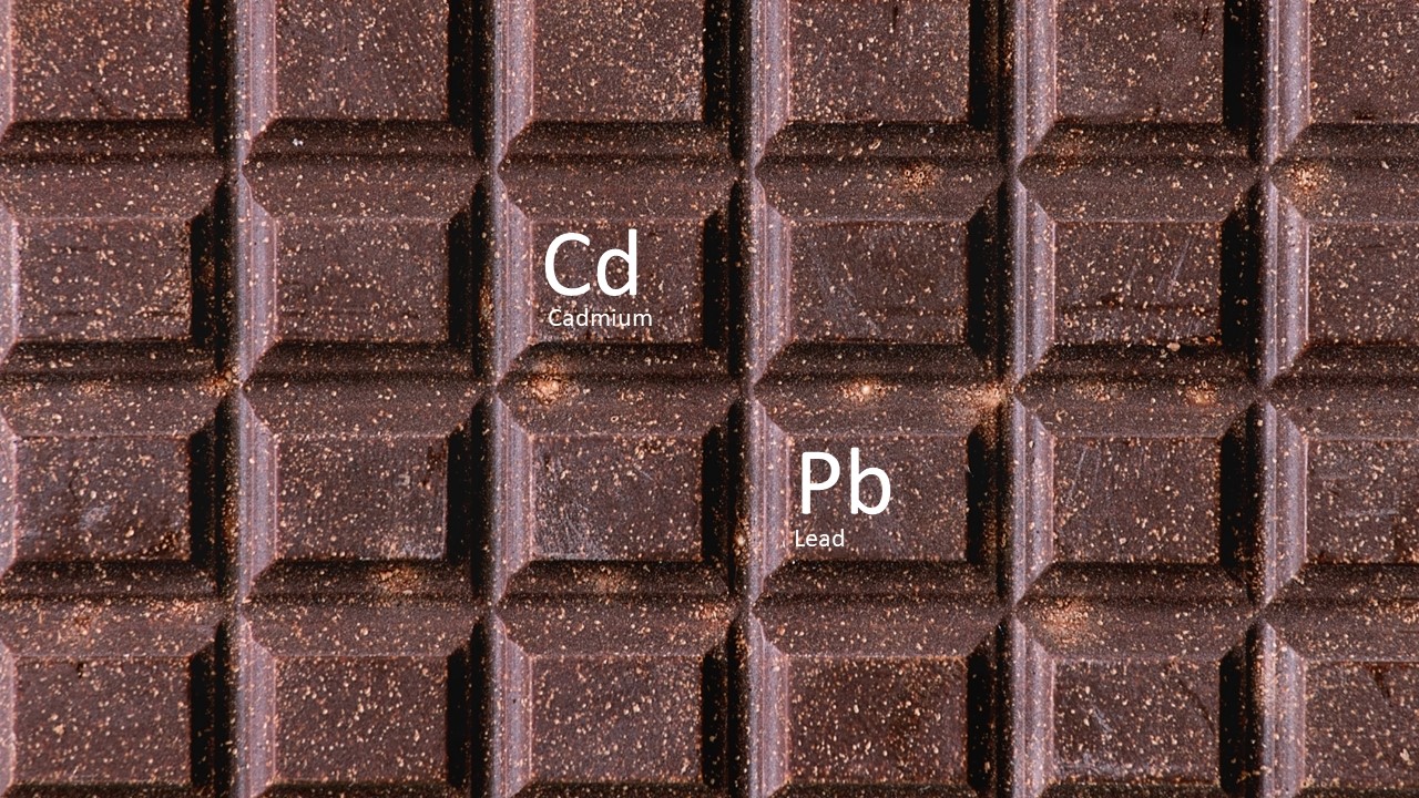 Lead in dark chocolate