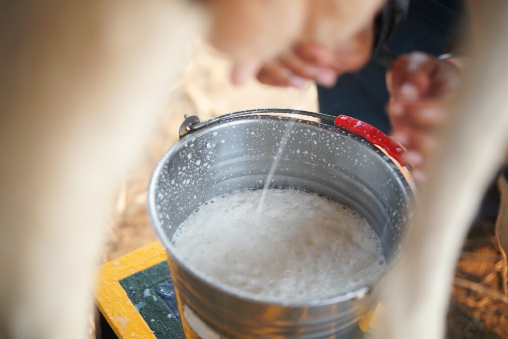 Foodborne illness from raw milk