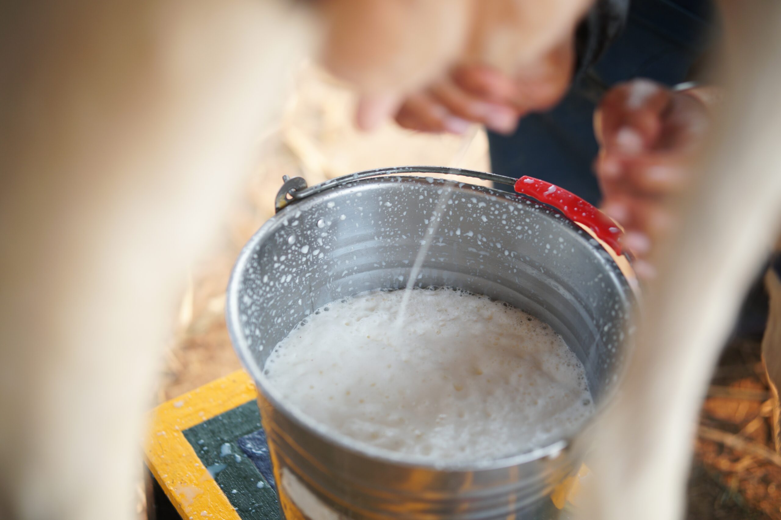 Foodborne illness from raw milk