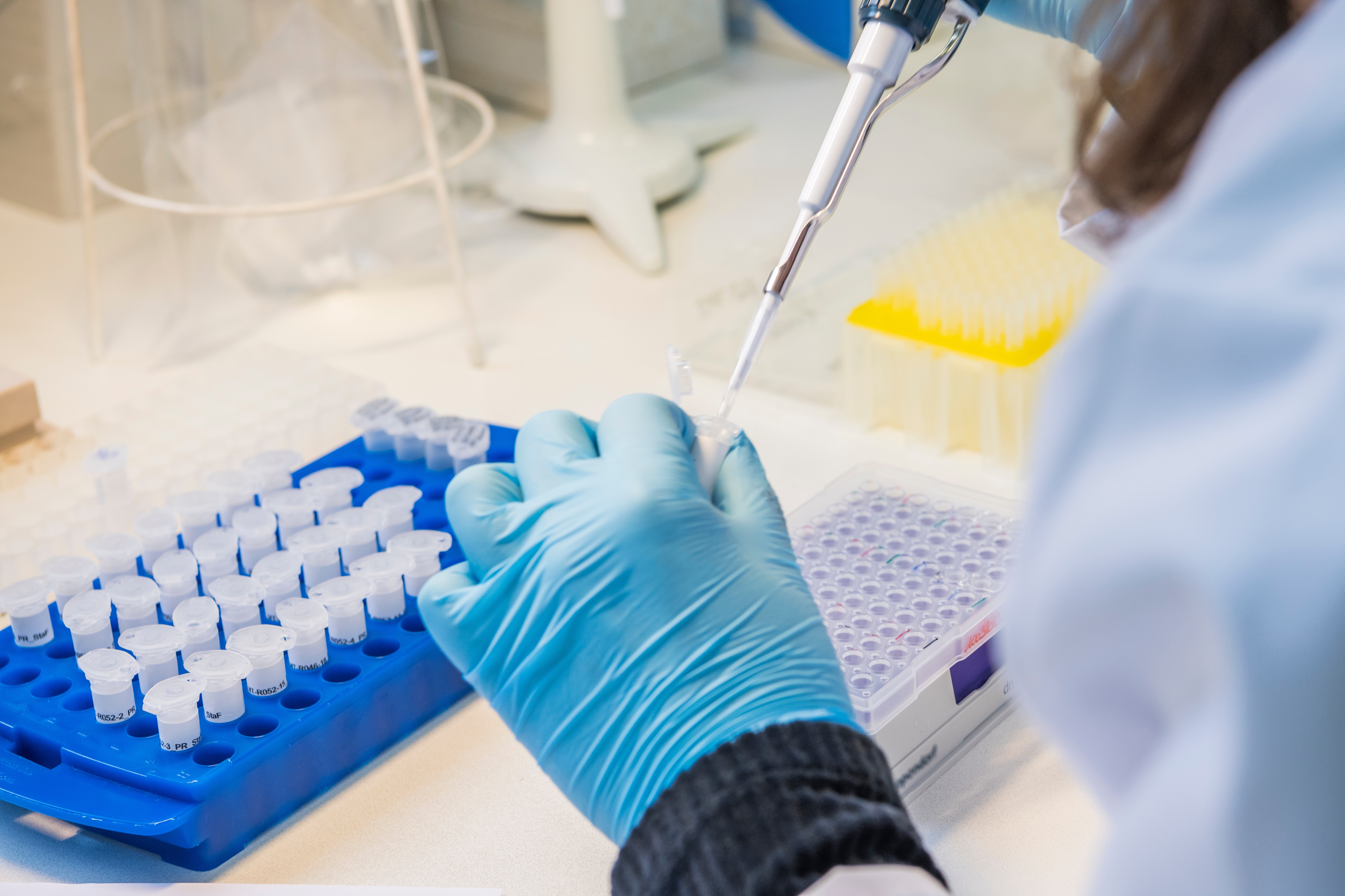 Assay Development Scientist