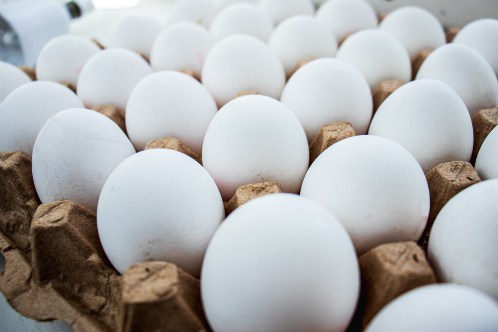 Egg price fixing 2023
