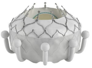 Cardiovascular Device Development