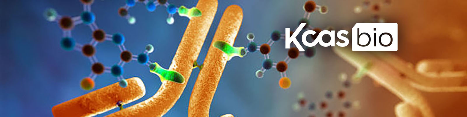 KCAS Bio ADCs hero image