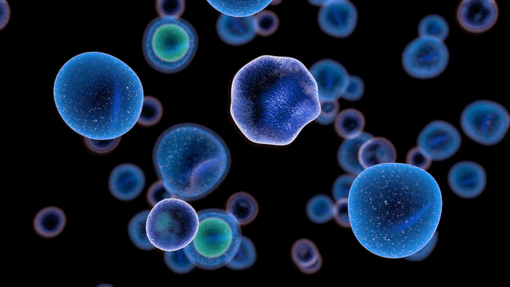 Xtalks Life Science Podcast Episode 155