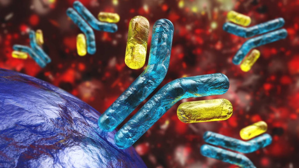 Antibody Therapeutics