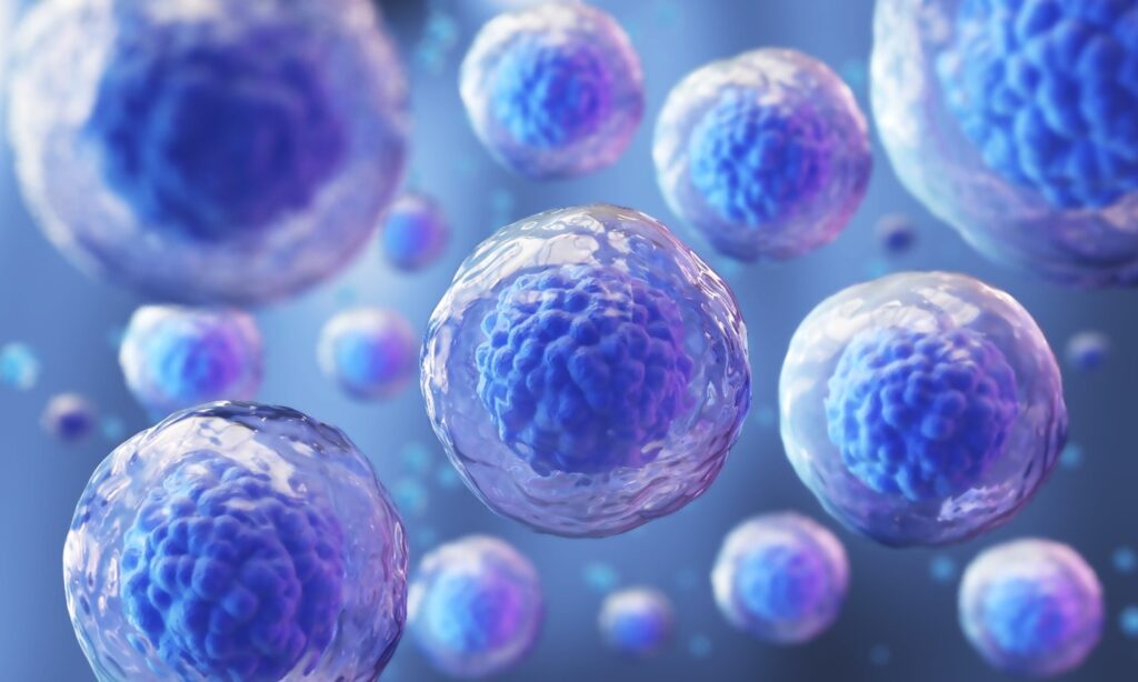 Cell Therapies