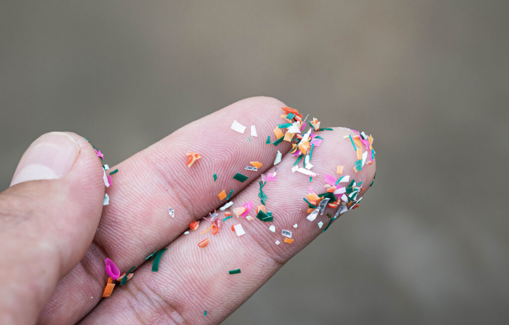 Microplastics in Food