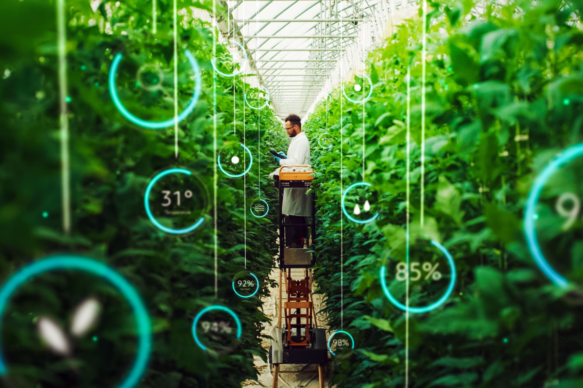 Food IPOs 2025, Beverage IPOs 2025