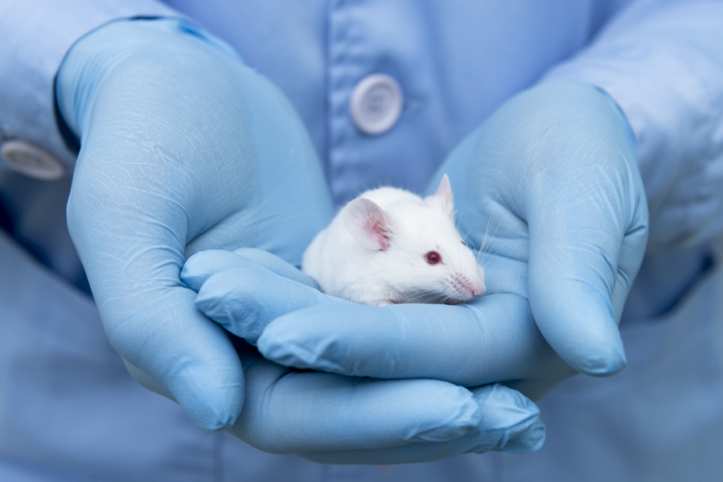 FDA animal testing