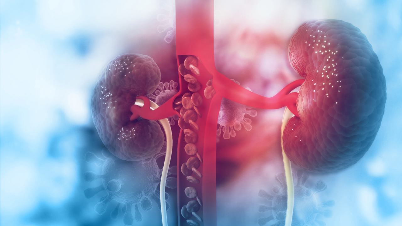 autoimmune kidney disease treatment