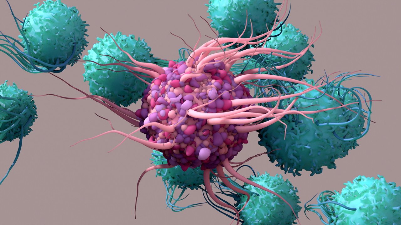 Dendritic Cell Therapy