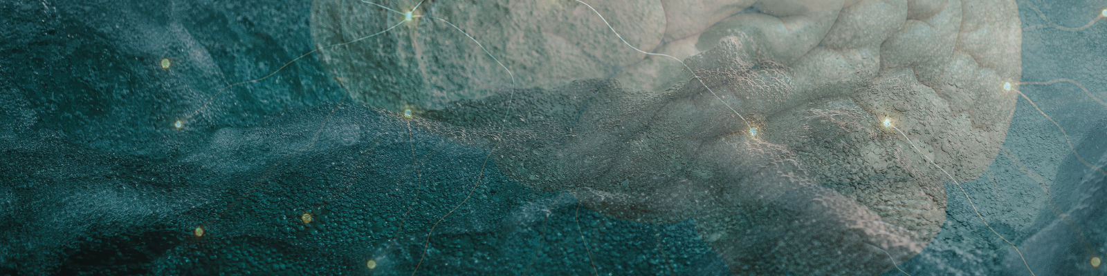Transpharmation_Nov3_Hero_1600x400