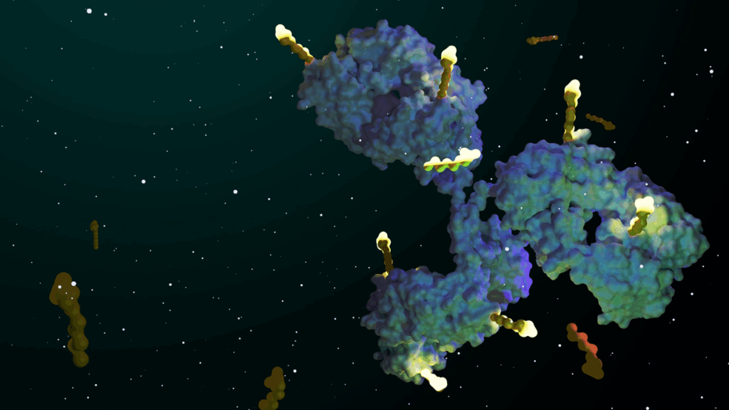 ADCs in Oncology