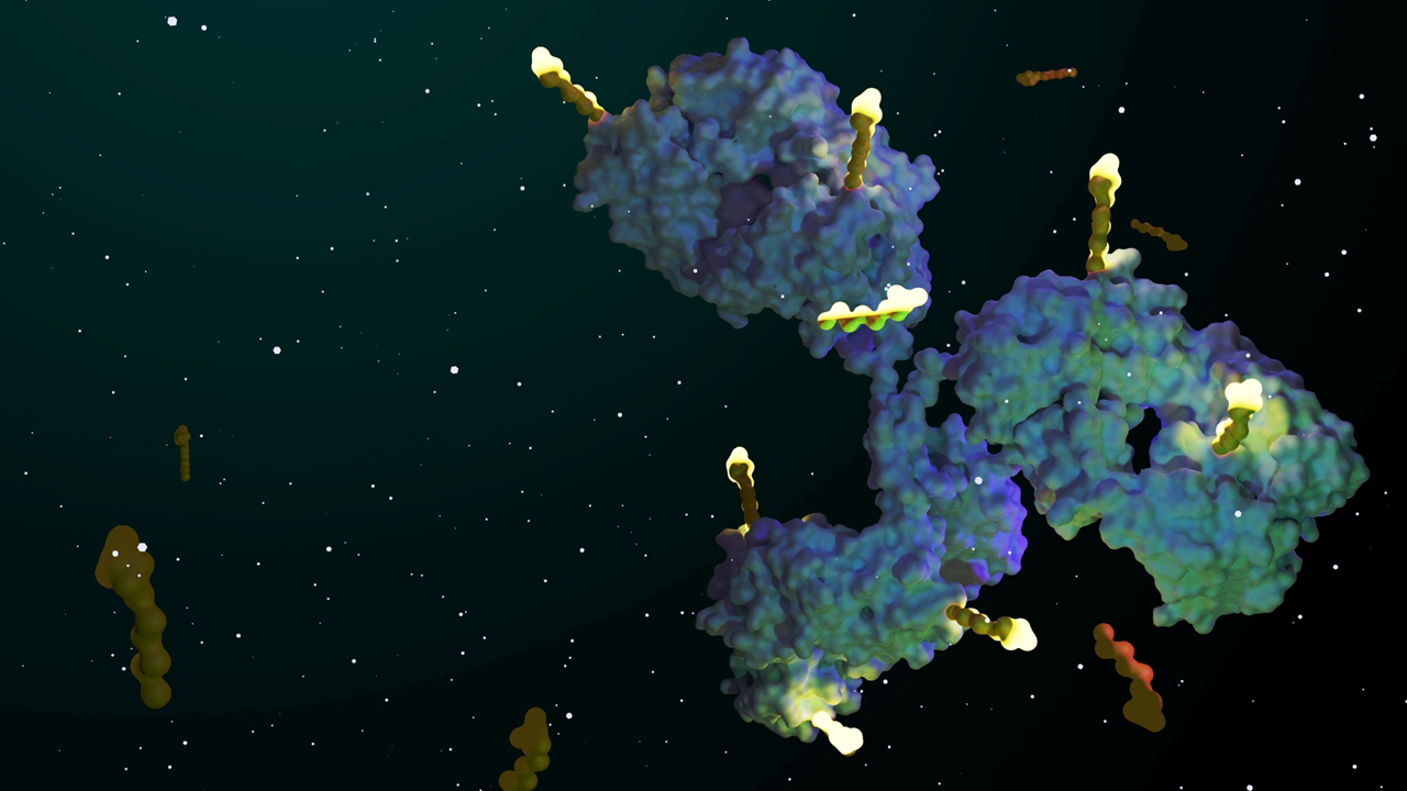 ADCs in Oncology