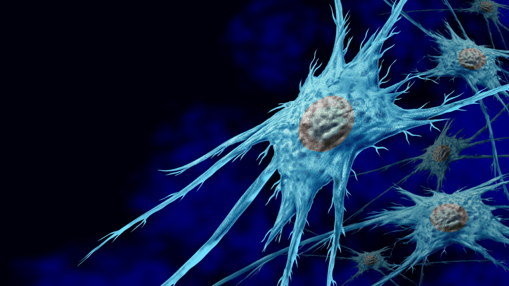 fibroblast-based therapeutics
