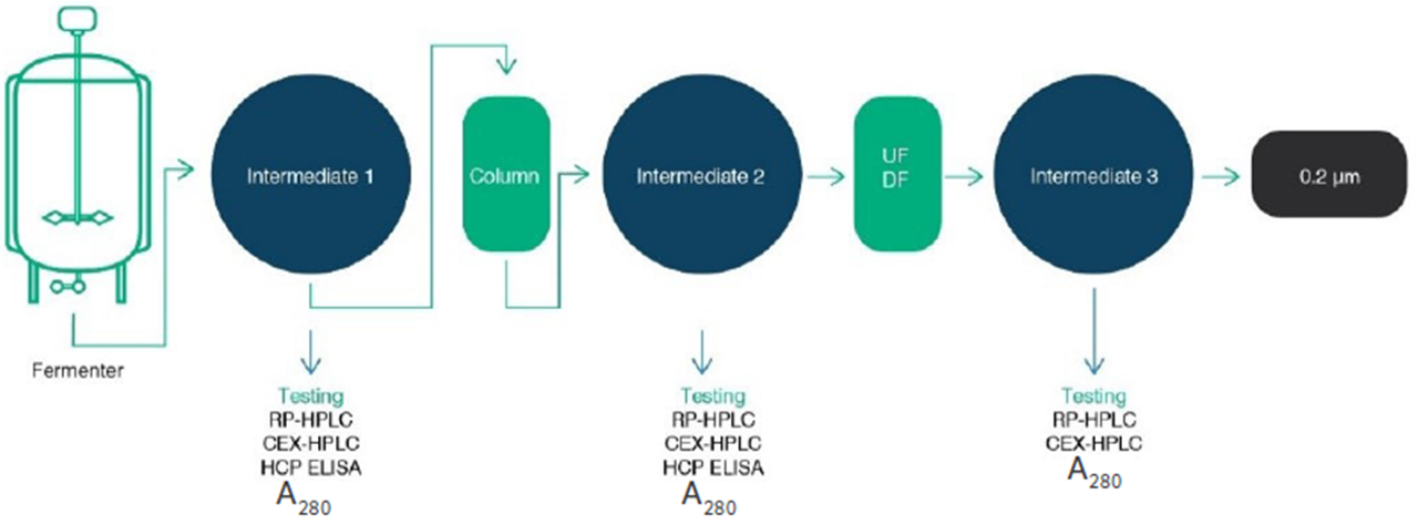 bioprocess