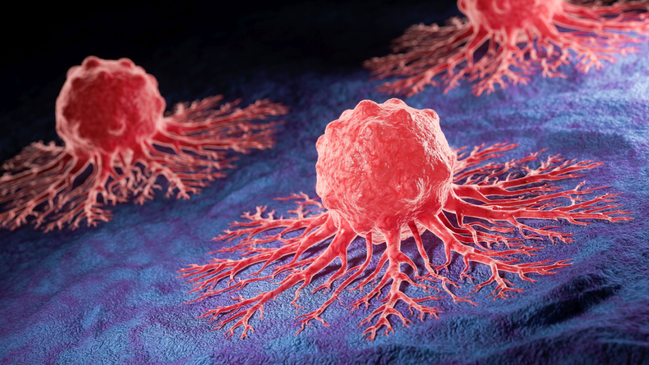Parabilis is using its Helicon platform to target intracellular cancer drivers that have been difficult for many existing drug types to reach.
