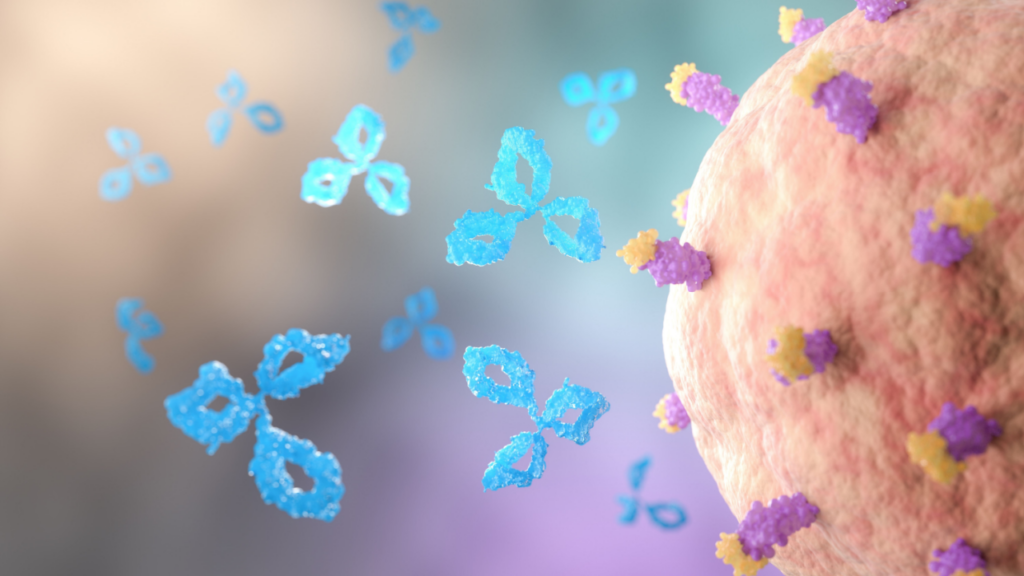 Ris-Rez works by using an antibody to recognize B7-H3 on cancer cells and help deliver a cancer-killing drug payload inside the cell.